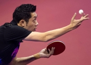 开云体育在线-韩国乒乓球队横扫日本乒乓球队，许昕高光表现的简单介绍