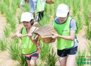 开云体育官网-深圳佳兆业夏季转会慌慌张张，引援带来新希望