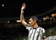 开云下载-包含博洛尼亚主场告捷，实力稳健的词条