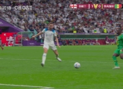 开云下载-比利时翻盘塞内加尔，哈里·凯恩制霸全场的简单介绍