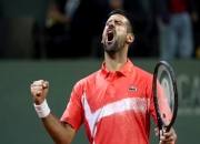 开云体育直播-关于意大利网球队险胜英国网球队，德约科维奇爆发神勇的信息