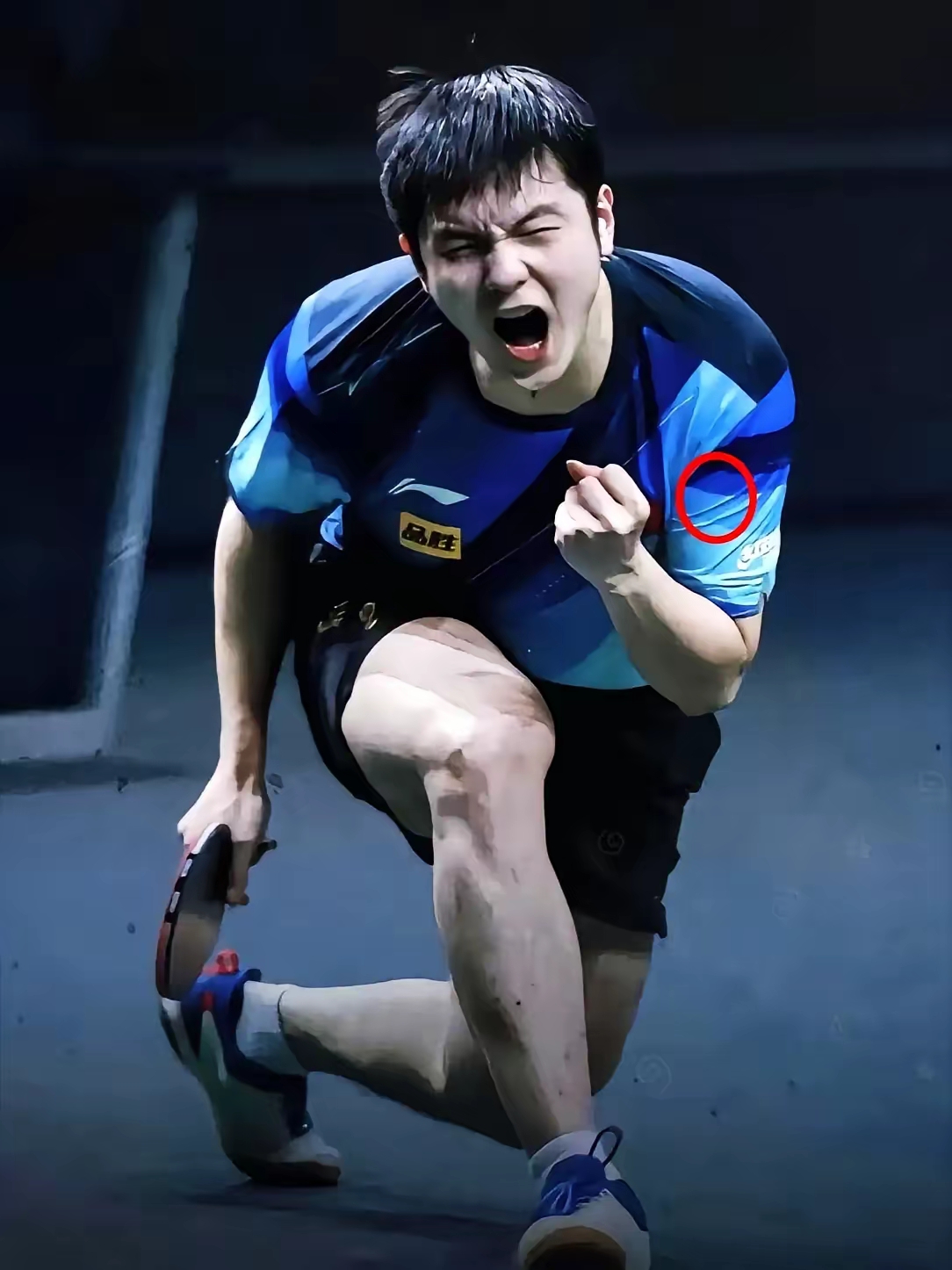 包含韩国乒乓球队绝地反击瑞典乒乓球队,樊振东爆发神勇的词条 包含韩国乒乓球队绝地反击瑞典乒乓球队,樊振东爆发神勇的词条