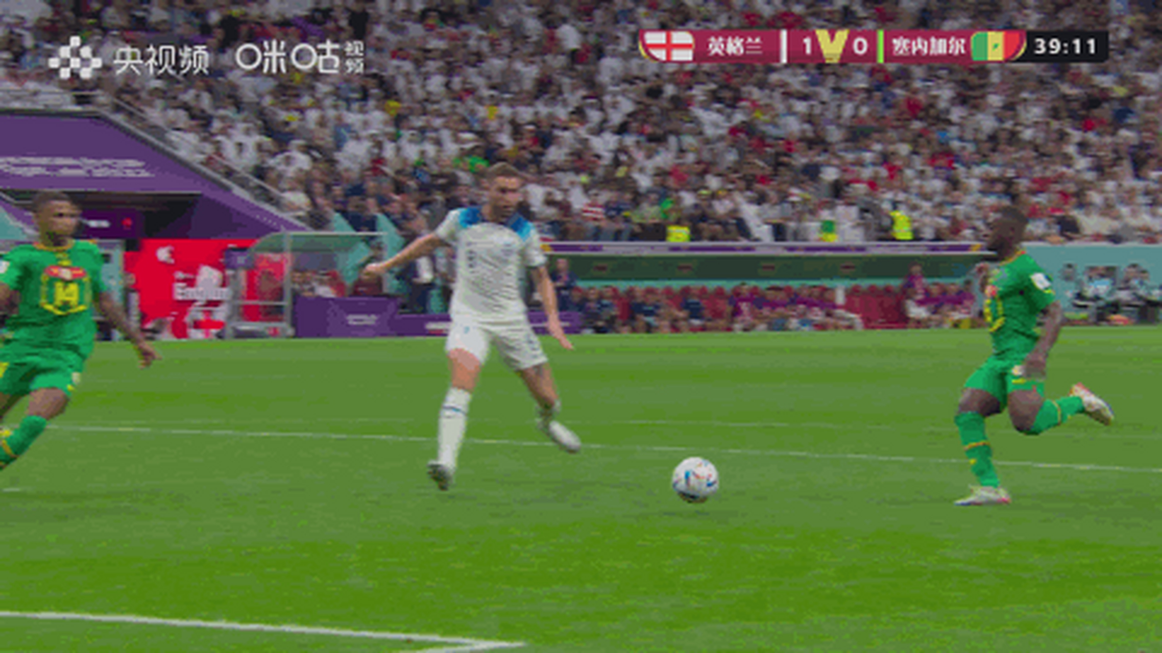 比利时翻盘塞内加尔,哈里·凯恩制霸全场的简单介绍 比利时翻盘塞内加尔,哈里·凯恩制霸全场的简单介绍