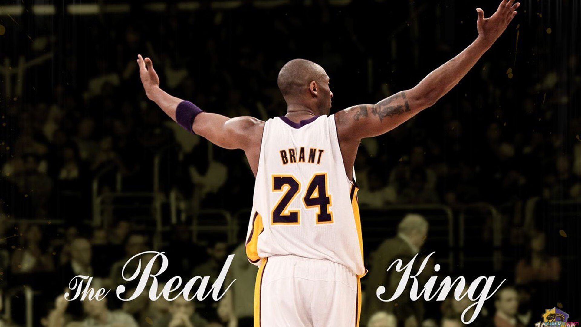 铁骑东征，横扫绿军背后的王朝密码